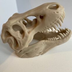 Tiranosaurio Rex