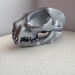 schedel kat zilver
