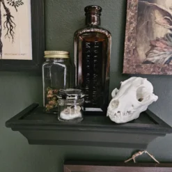 decoratie schedel vos