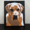 Labrador 2D