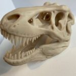 Cráneo decorativo T-Rex